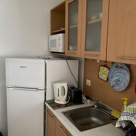 公寓 Chaika 帕莫瑞